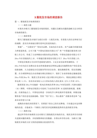 3篇批发市场的调查报告