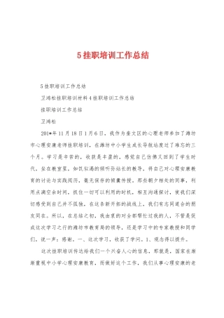 5挂职培训工作总结