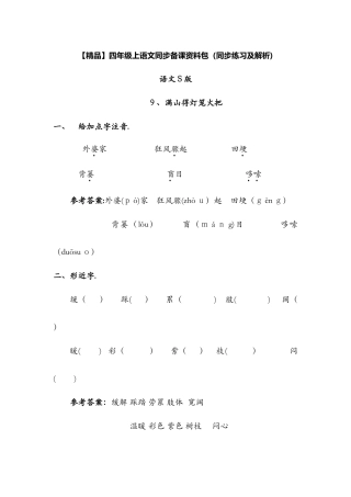 9.满山的灯笼火把（同步练习及解析）语文Ｓ版四年级语文上册