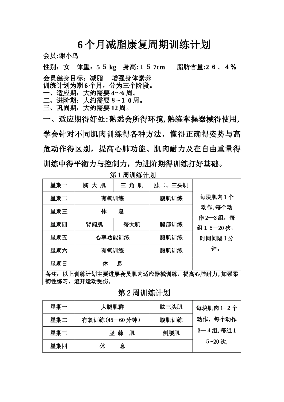 9个月减脂训练计划_第1页