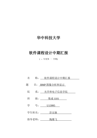 BMP软件专业课程设计中期报告集成彭宜脉