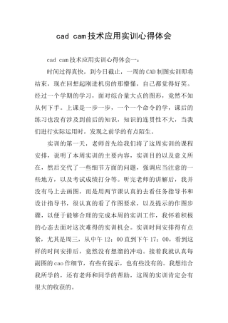 cad-cam技术应用实训心得体会