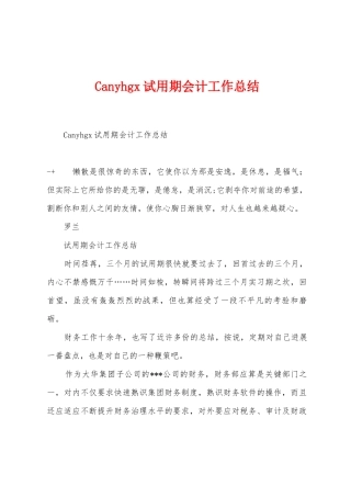 Canyhg试用期会计工作总结