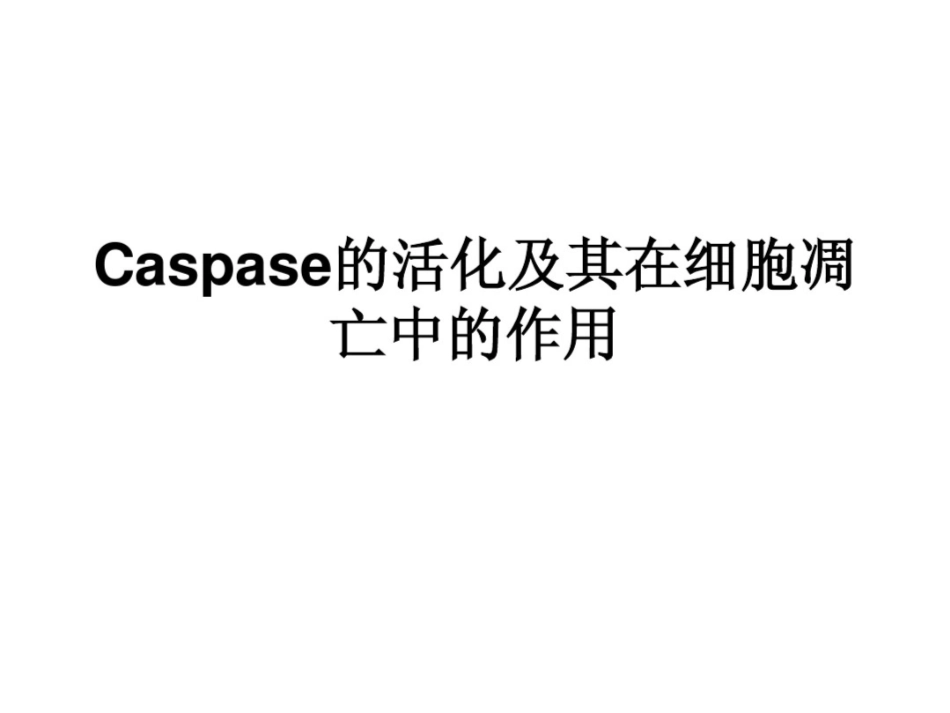 Caspase的活化及其在细胞凋亡中的作用_第1页