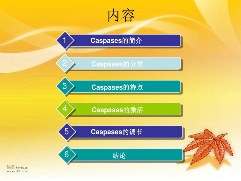 Caspase的活化及其在细胞凋亡中的作用_第2页