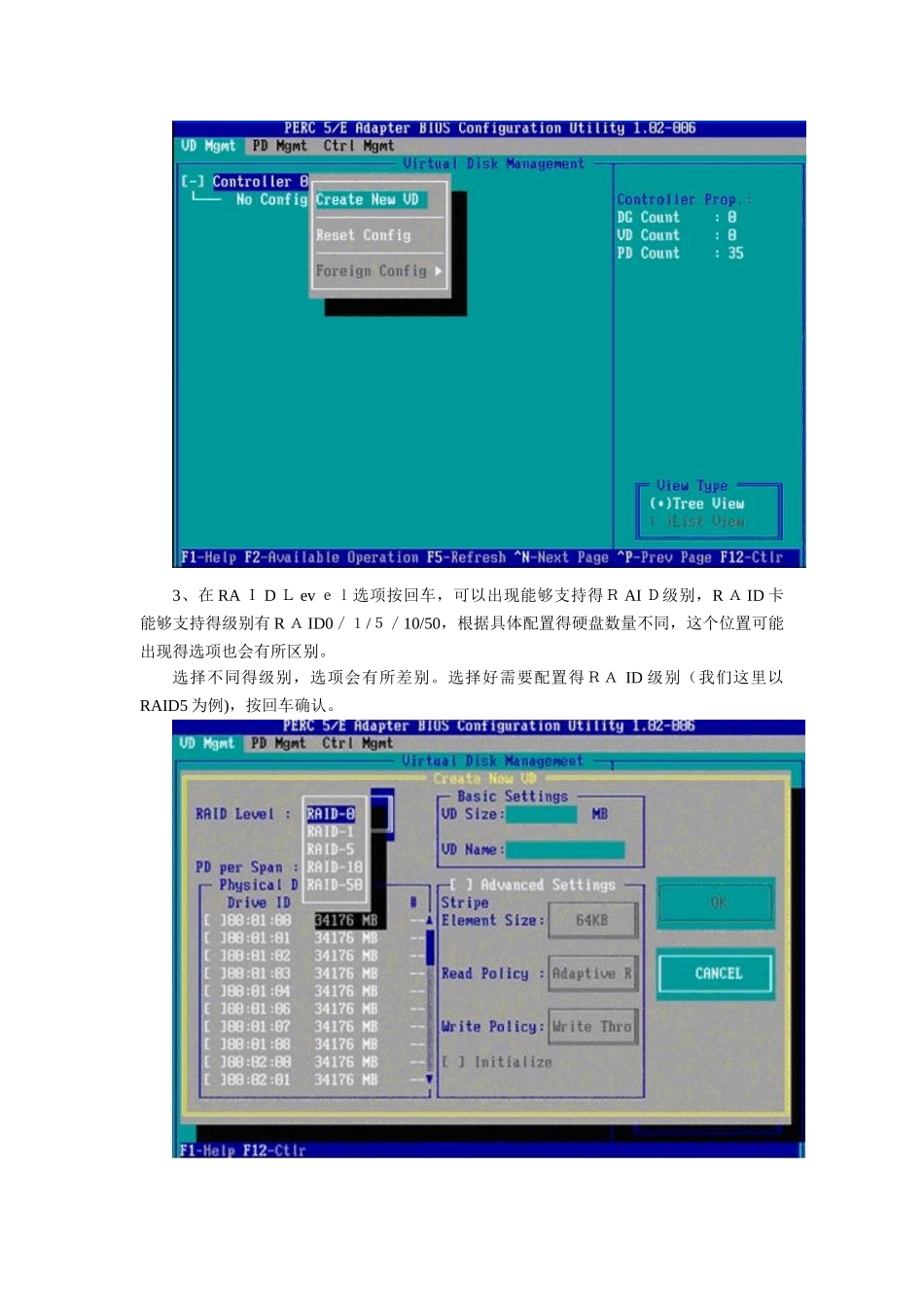 DELL服务器RAID配置详细教程_第2页