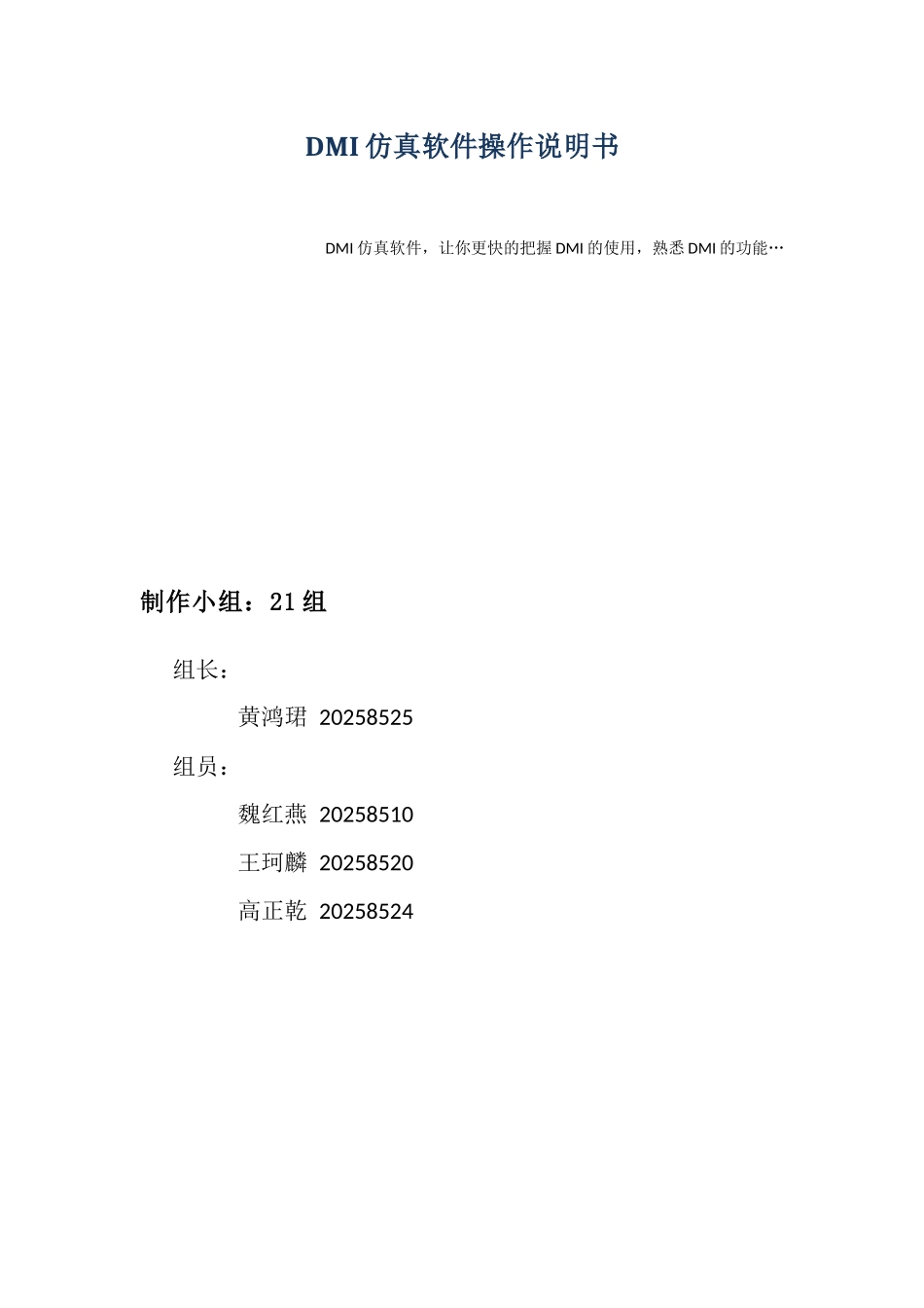 DMI仿真软件操作说明书_第1页