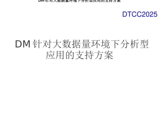 DM针对大数据量环境下分析型应用的支持方案