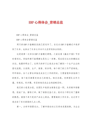 ERP心得体会-营销总监