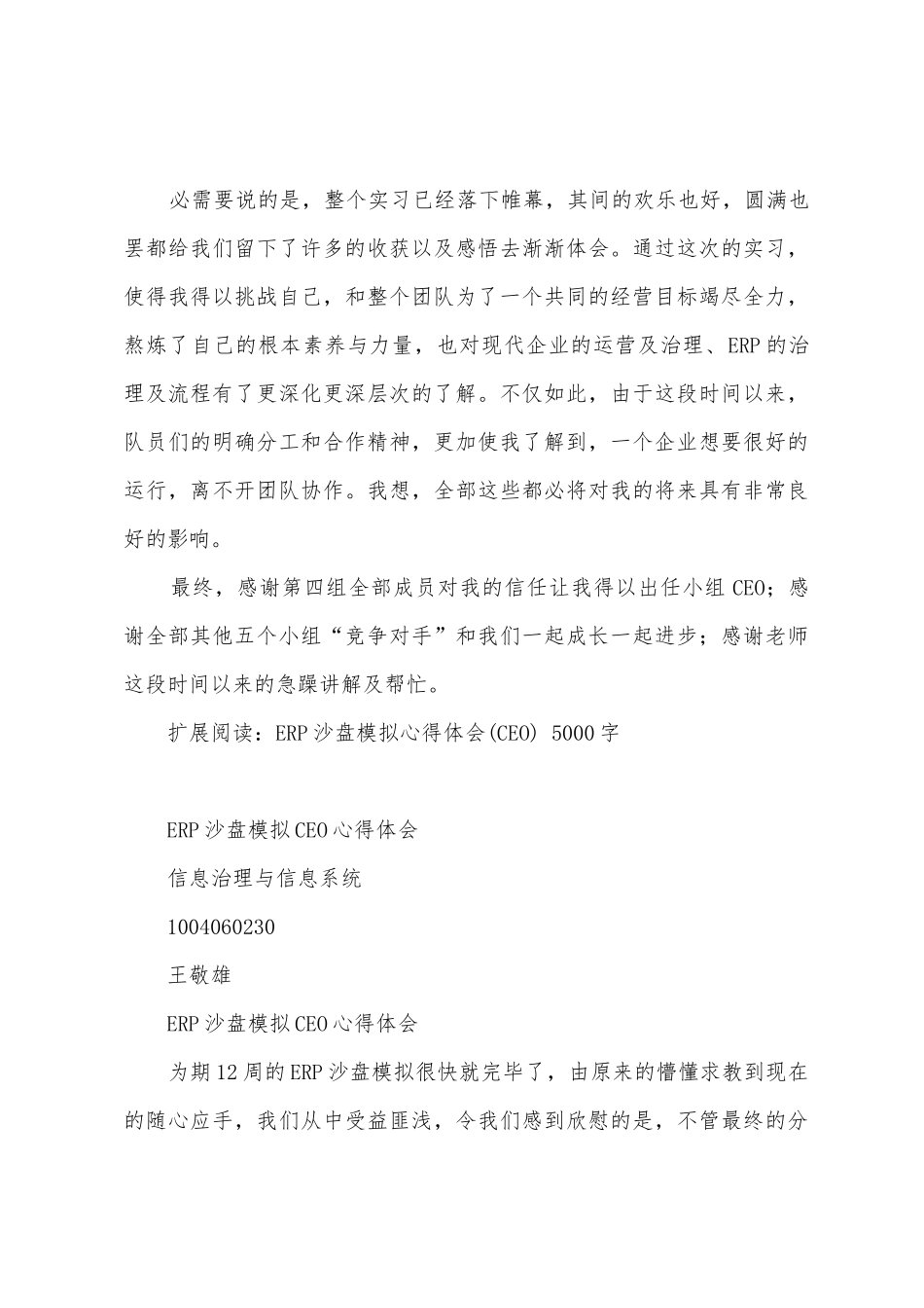 ERP沙盘模拟心得体会_第3页