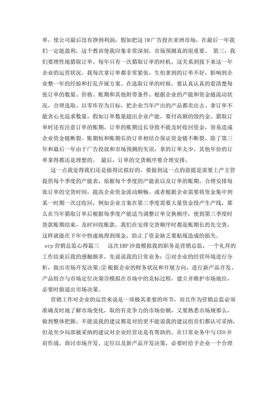 erp营销总监的心得体会范文精选_第3页