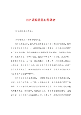 ERP采购总监心得体会