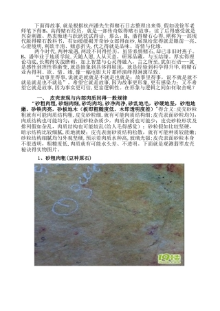 H.潘的赌石实战心得