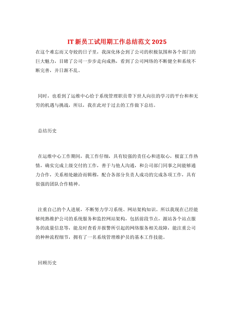 IT新员工试用期工作总结范文2025_第1页