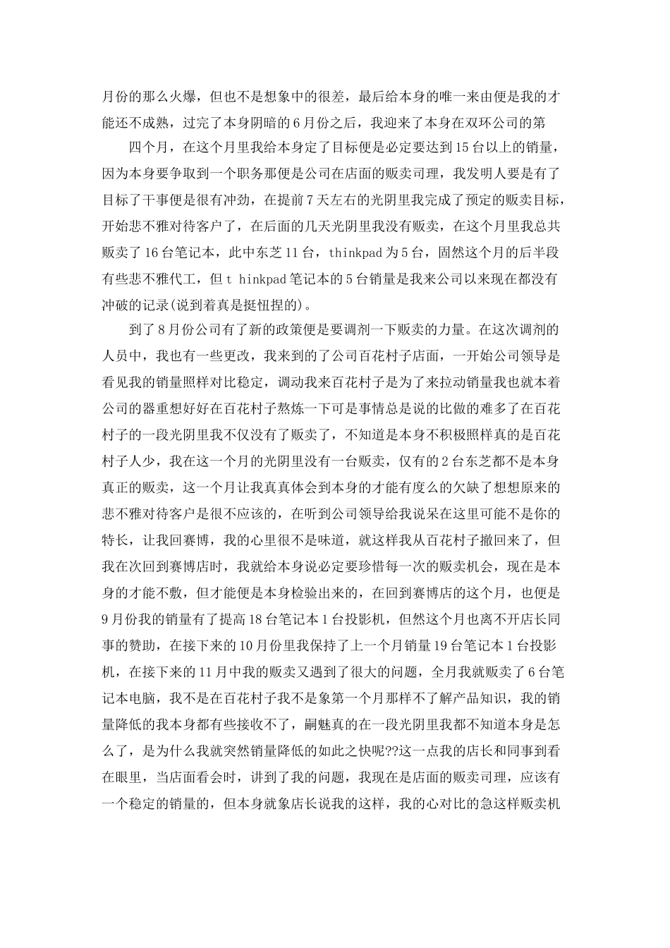 it贩卖工作总结范文_第2页