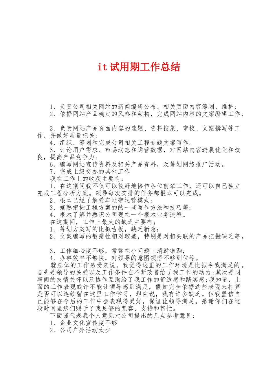 it试用期工作总结_第1页