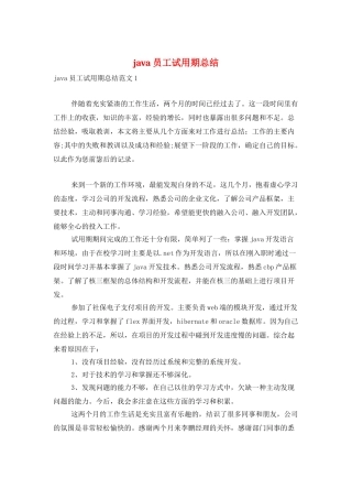 java员工试用期总结