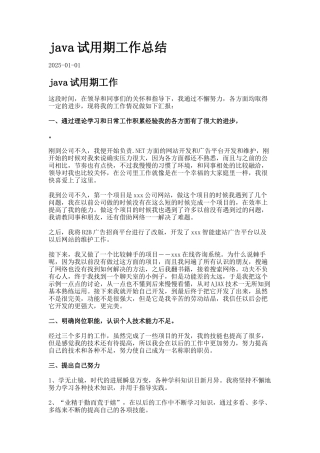 java试用期工作总结-51094