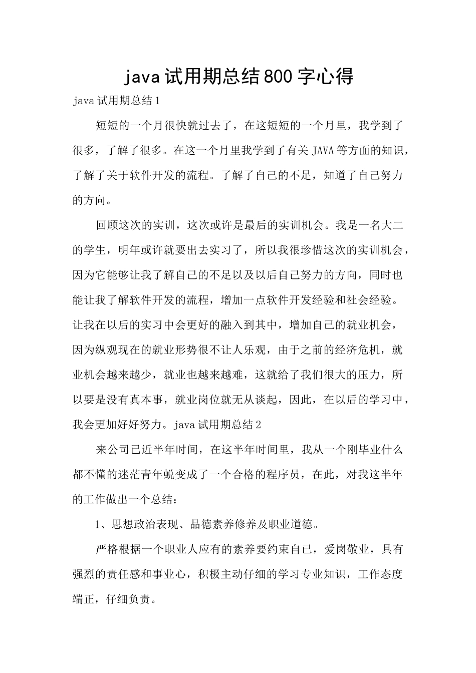java试用期总结800字心得_第1页