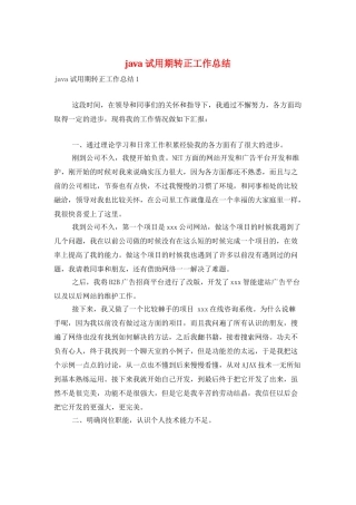 java试用期转正工作总结