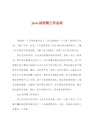 java试用期工作总结