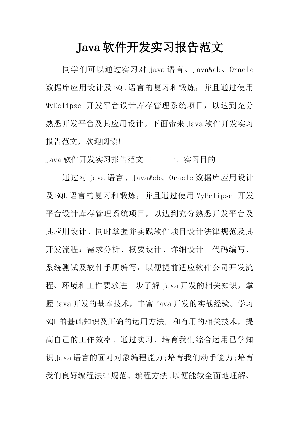 Java软件开发实习报告范文_第1页