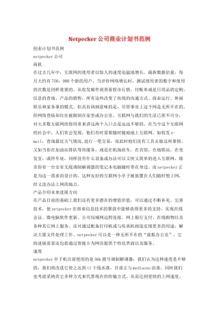 Netpecker公司商业计划书范例