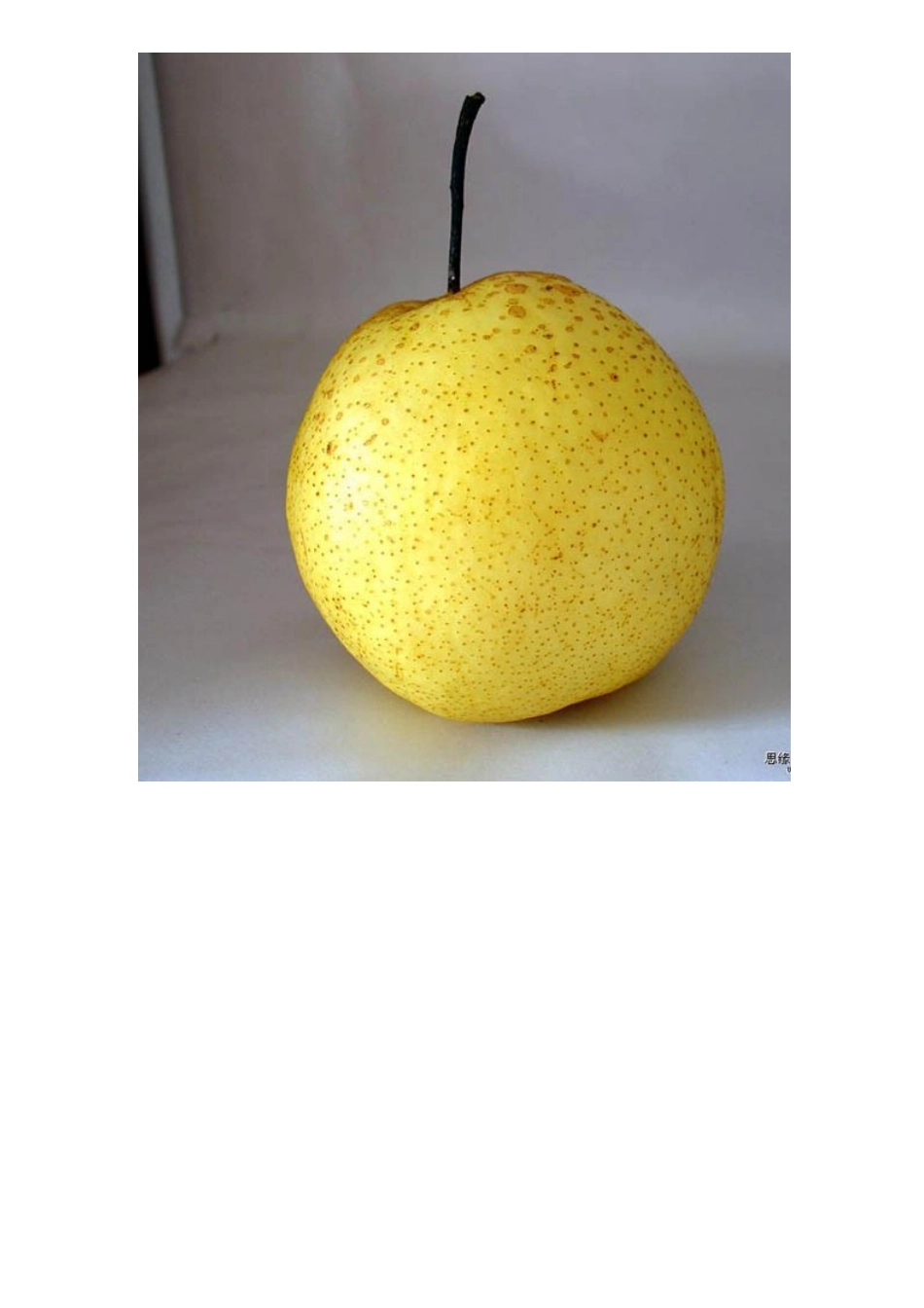 Photoshop创意合成实例教案5_第2页