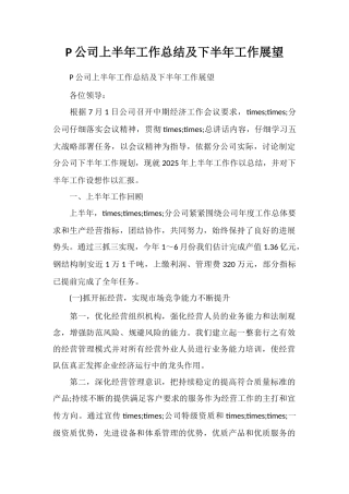 P公司上半年工作总结及下半年工作展望