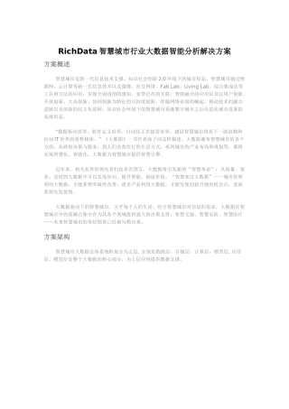 RichData智慧城市行业大数据智能分析解决方案