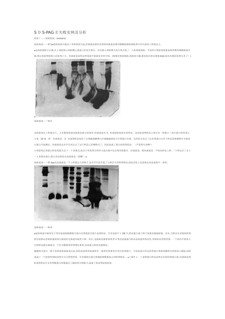 sds-page失败案列及分析_第1页