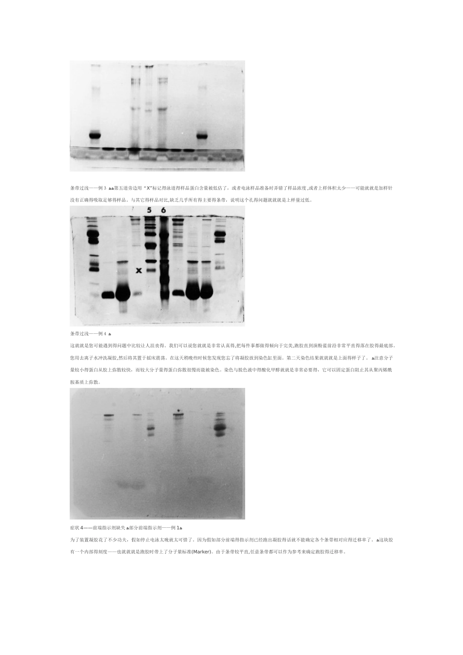 sds-page失败案列及分析_第3页