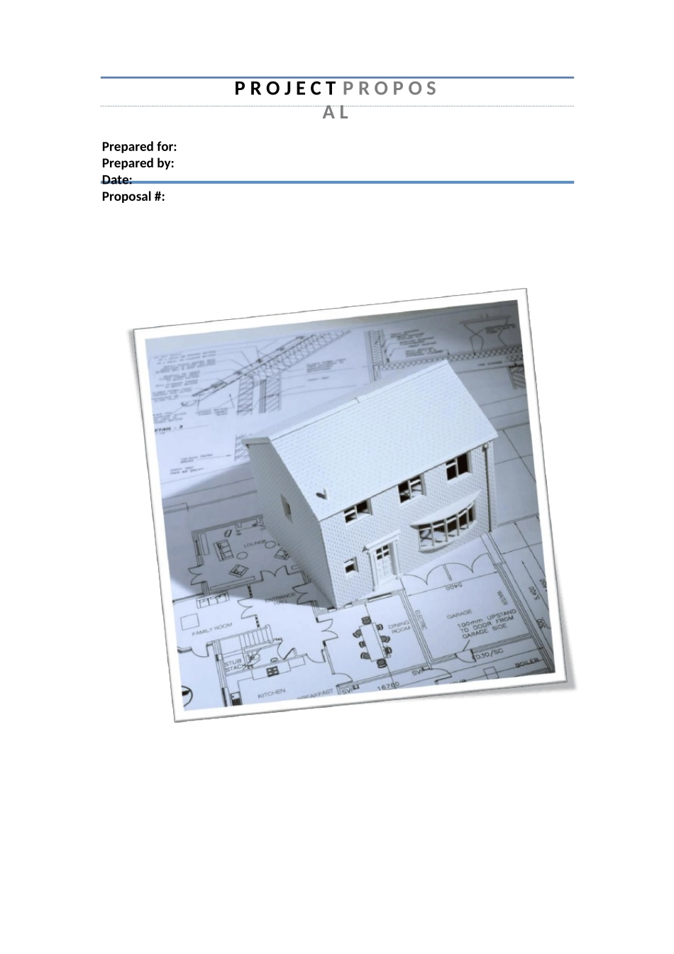 VI项目策划书模版_第1页