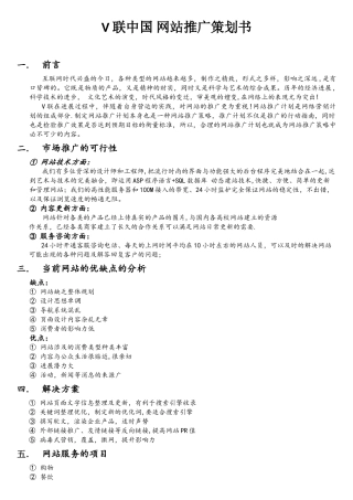 V联中国网站推广策划书