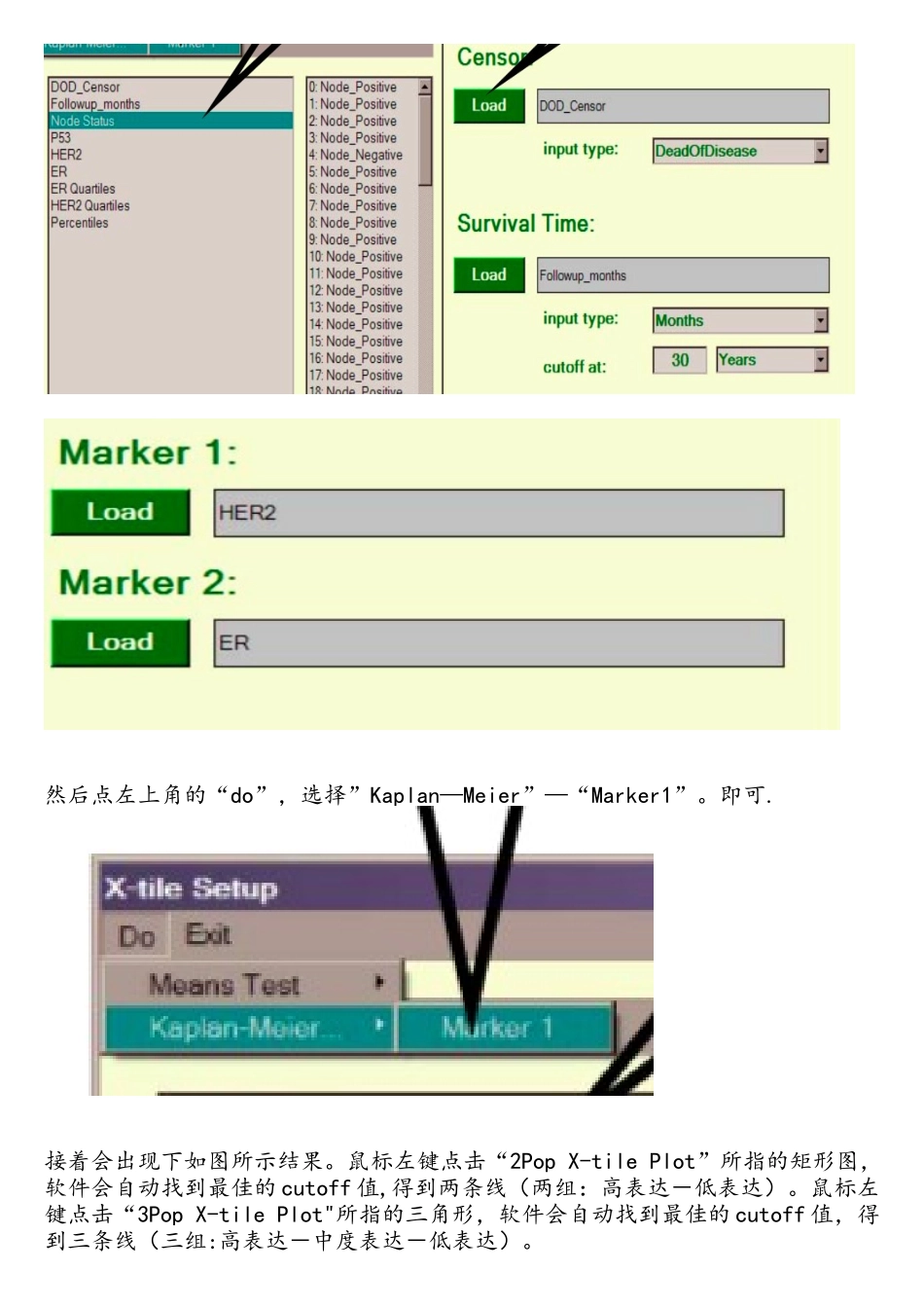 X-tile软件的操作流程_第3页
