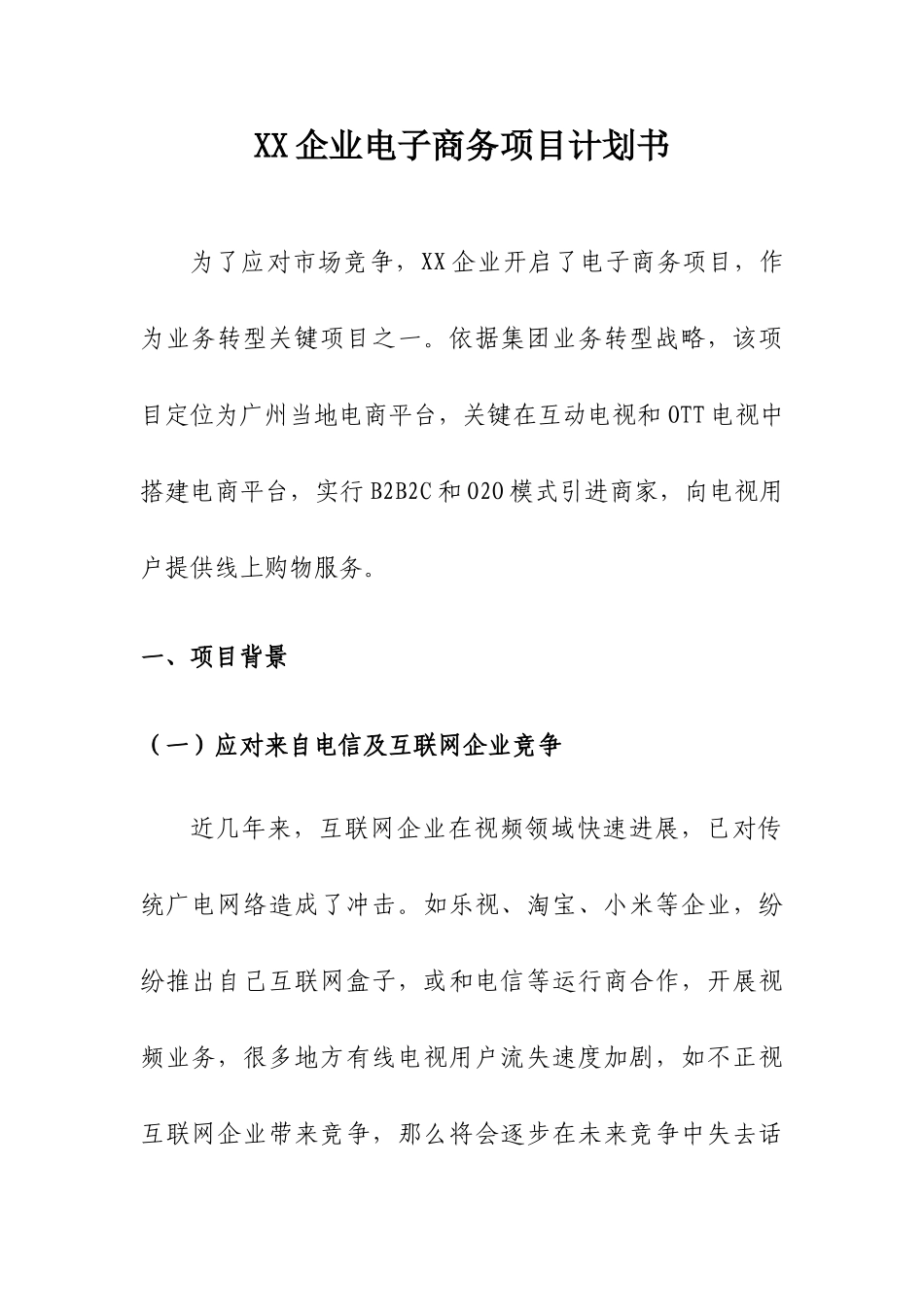 XX公司电子商务综合项目专题计划书原创新版培训教材_第3页