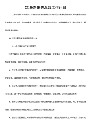 XX最新销售总监工作计划