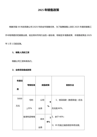 XX有限公司2025年销售政策