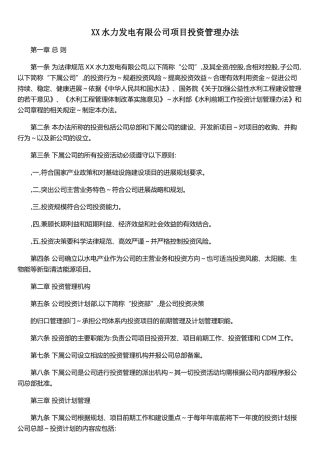 XX水力发电有限公司项目投资管理办法