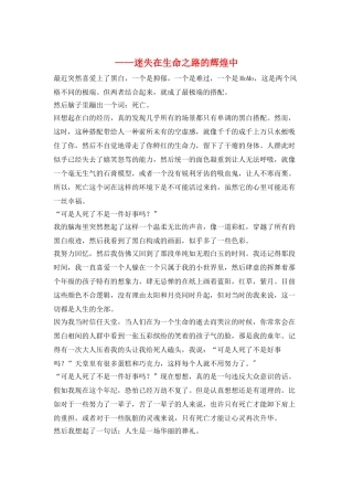 ——迷失在生命之路的辉煌中