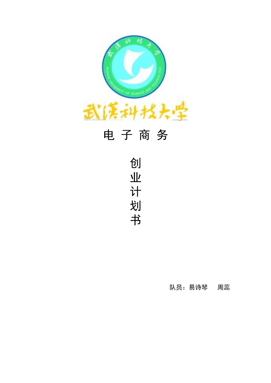 “乐淘淘”电子商务策划书_第1页