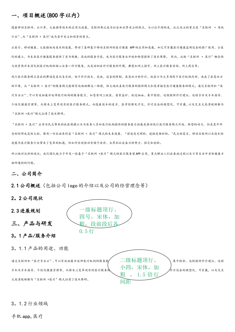 “互联网+”大学生创新创业大赛项目计划书格式_第3页