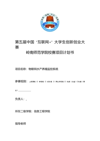 “互联网”创新创业大赛项目计划书