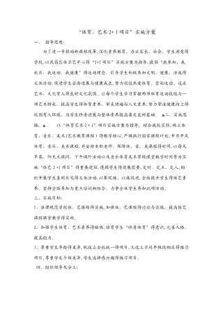 “体育艺术 项目”工作计划