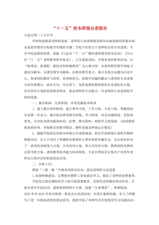 “十一五”校本研修自查报告