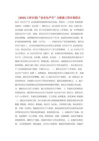 “安全生产月”大检查工作计划范文