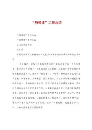 “师带徒”工作总结