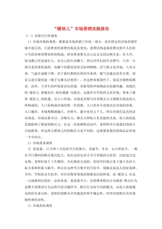 “暖倍儿”市场营销实践报告