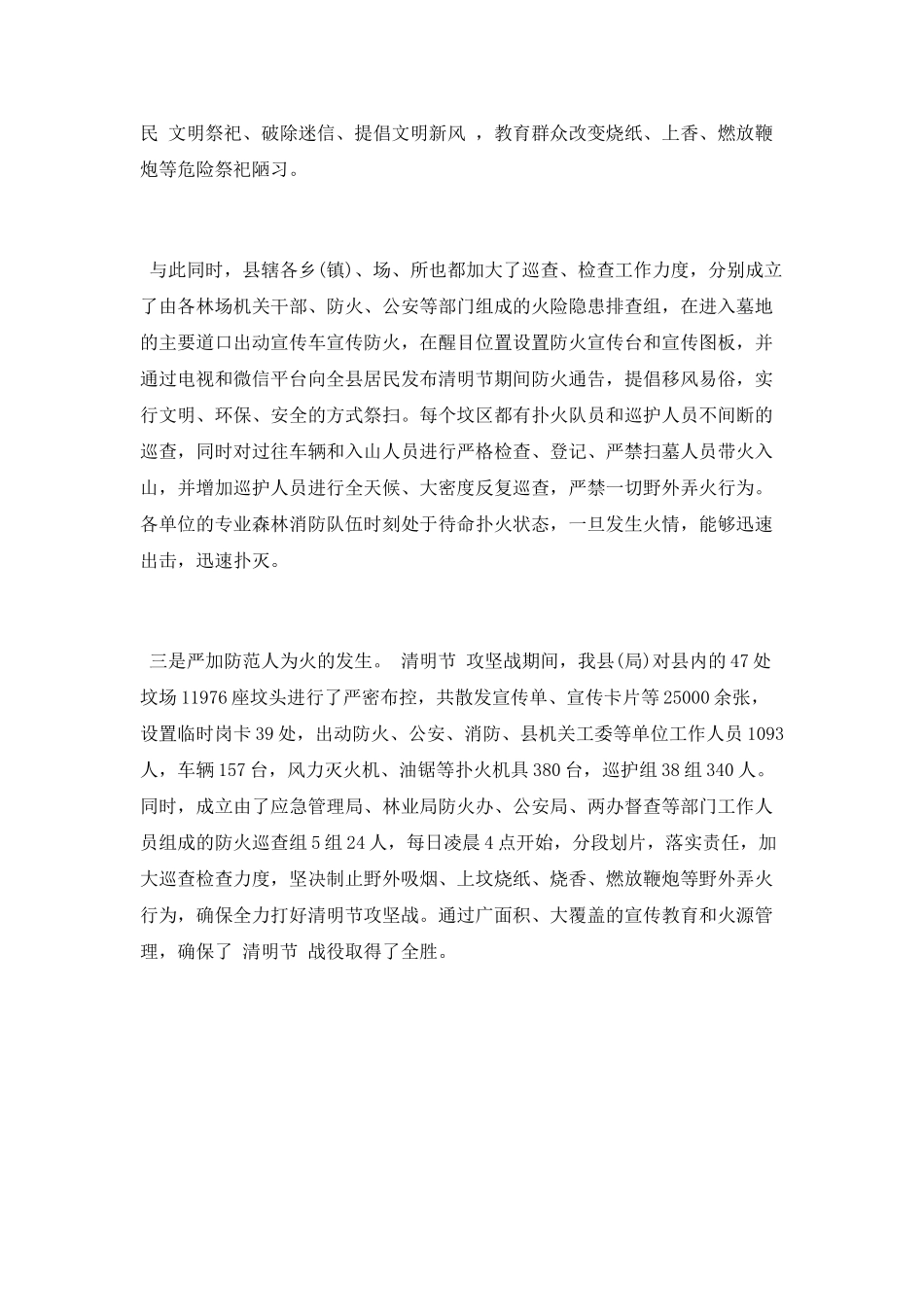 “清明节”战役工作总结_第2页