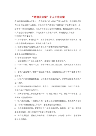 “销售员计划”个人工作计划